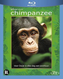 Chimpanzee (blu-ray tweedehands film)