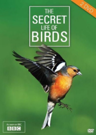 The Secret Life Of Birds (dvd nieuw)