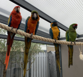 Sisaltouw Ø 50mm & 100 cm