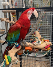 Zitstok met speelgoed L