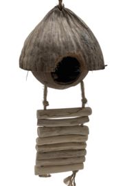 Coconuts huisje