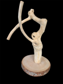 Speelplaats voor kleine vogels