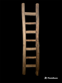 Teak ladder