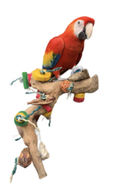 Zitstok met speelgoed M dobbel