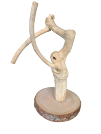 Speelplaats voor kleine vogels