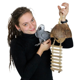 Coconuts huisje