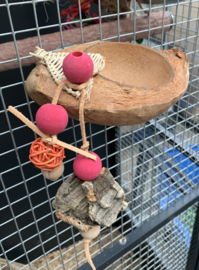 Kokosnoot voerbak voor kleine vogels