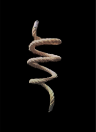 Spiraal