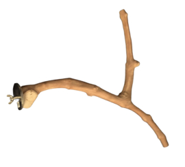 Zitstok Java hout XS