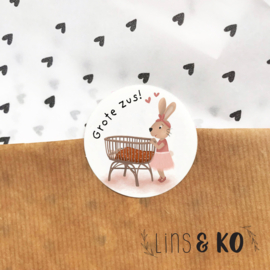 Grote zus! | stickers | 5 stuks