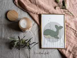 Poster A4 - Walvis