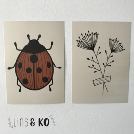 Lieveheersbeest | A4 poster