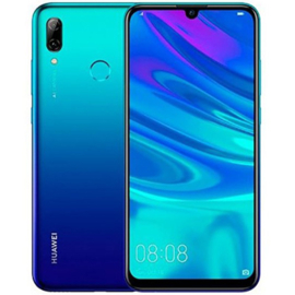 P Smart 2019