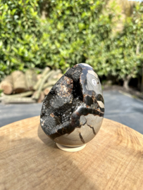 Septarie ei 658 gram, Nr 118