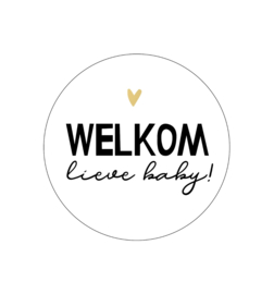 Sticker | Welkom lieve baby