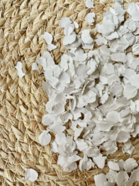 Confetti | wit