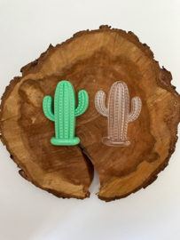 Cactus | 4 stuks