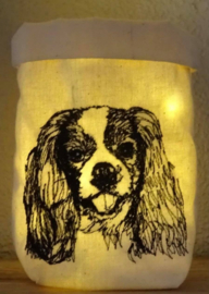 Honden rassen