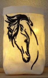 Paarden rassen