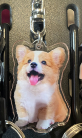 Corgi
