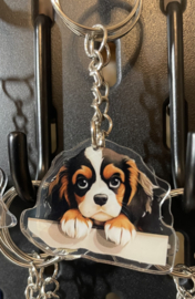 Cavalier King Charles spaniel kopjes