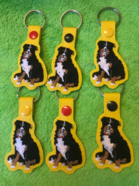 Diverse honden rassen