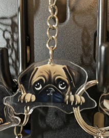 Pug kopje