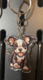 Franse bulldog cartoon