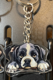 Engelse bulldog kopjes