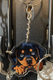 Rottweiler kopje