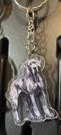 Deense dog