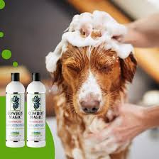 Rosewater Shampoo