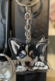 Husky kopjes