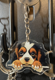 Cavalier King Charles spaniel kopjes