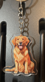 Golden retriever
