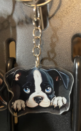 Engelse bulldog kopjes