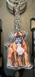 Boxer