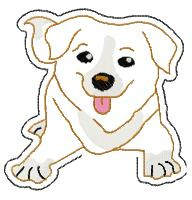 Nova Scotia Duck Tolling Retriever liggend