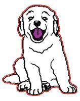 Labrador 1