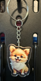 Chihuahua cartoon