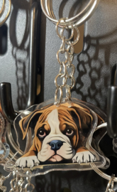 Engelse bulldog kopjes