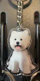Westie ( West Highland White terriër