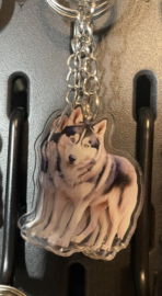 Husky