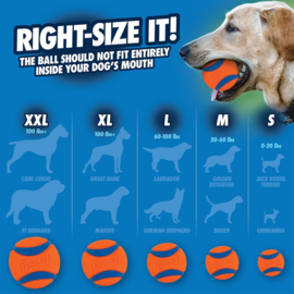 Chuckit bal Small 2 pack