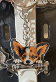 Corgi kopje