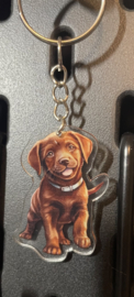Labrador cartoon