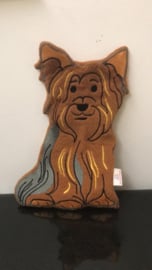 Yorkie