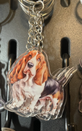 Basset Hund