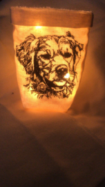 Honden rassen