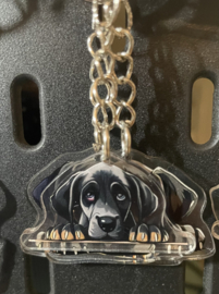 Deense dog kopjes